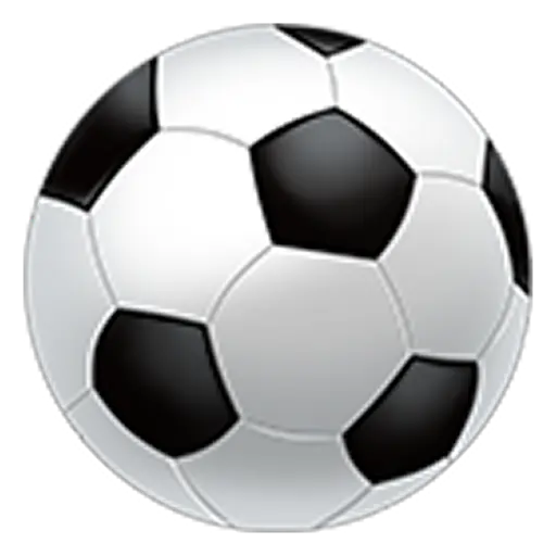 Fútbol